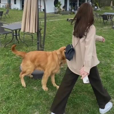 椅子